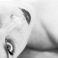 Nicolas BRUNEL - BRUNEL